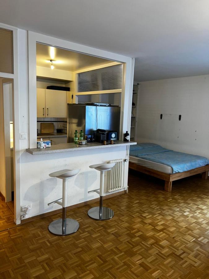 Апартаменты Beautiful Large Studio In Center Of Geneva Free Wifi Экстерьер фото